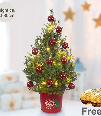 Christmas Tree With Little Santa & Lights