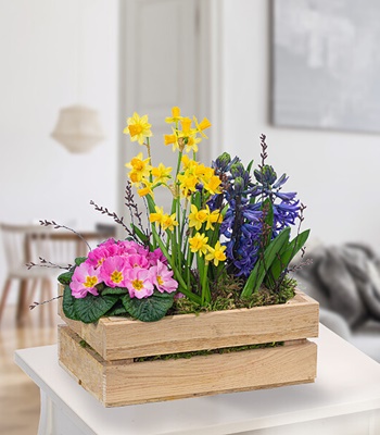 Mix Easter Flowers in Wooden Box