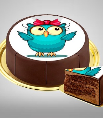 Chocolate Cake "Owl"
