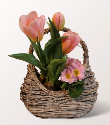 Easter Tulip and Primrose Planter Basket