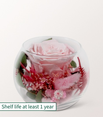 Eternal Pink Rose in Glass Bowl � Preserved Flower Arrangement with Eucalyptus