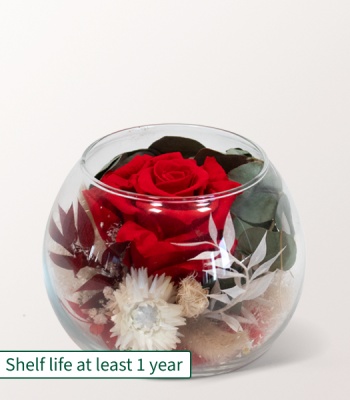 Eternal Red Rose in Glass Bowl � Preserved Flower Arrangement with Eucalyptus