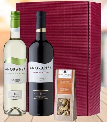 Gourmet Spanish Wine Gift Set