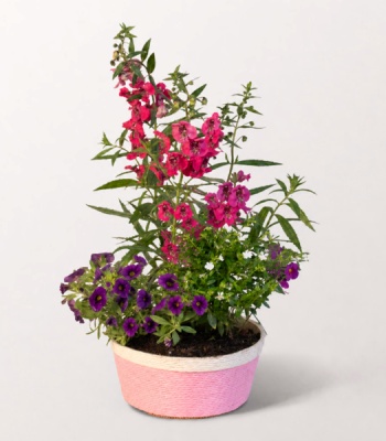 Lavender Garden Basket
