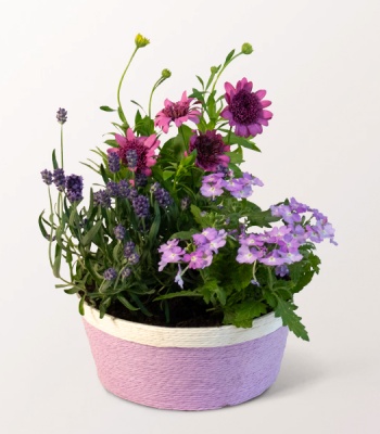 Mother's Day Flower Basket