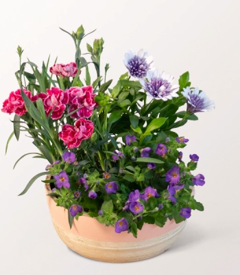 Mother's Day Flower Bowl
