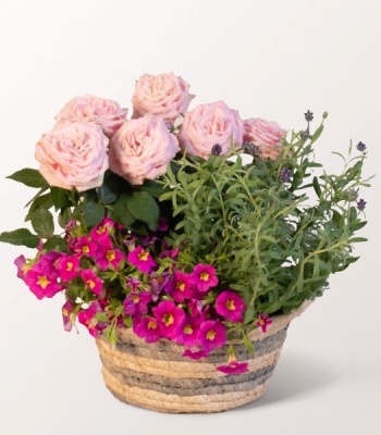 Provence Garden Basket