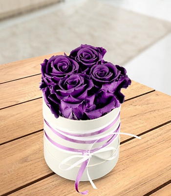 Purple Roses in Hat Box