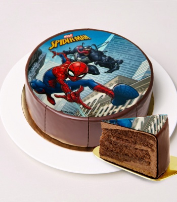 Spiderman Birthday Cake