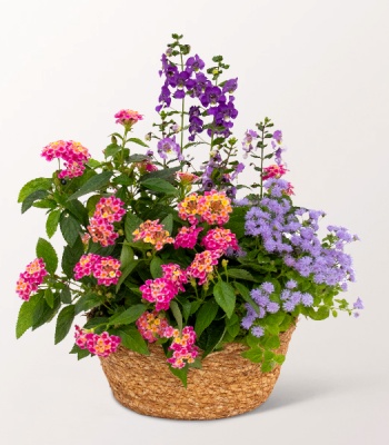 Summer Garden Harmony Basket