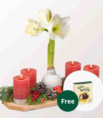 White Amaryllis Advent Candle Arrangement