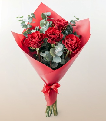 Carnations Bouquet for Her