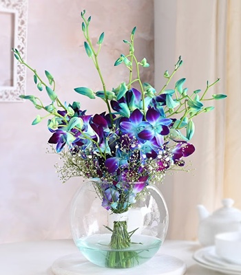Blue Orchids in Fishbowl Vase - 15 Stems