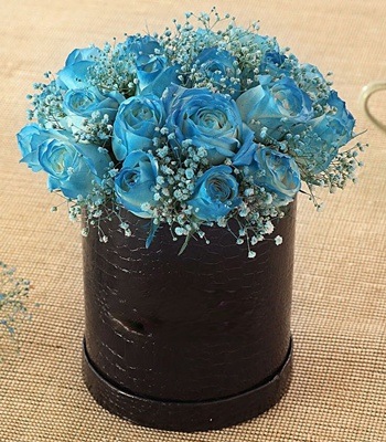 Blue Spray Rose Box - 25 Stems