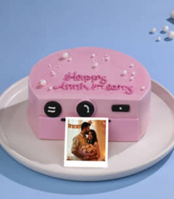 Happy Anniversary Camera Cakes