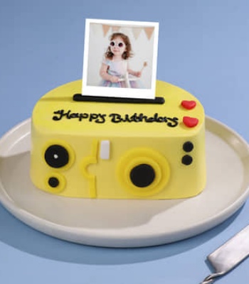 Happy Birthday Camera Cakes