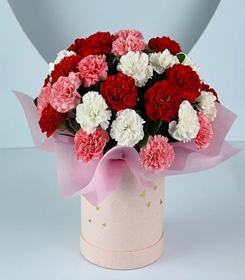 Carnation Flowers in Box