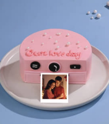 Our Love Day Camera Cakes