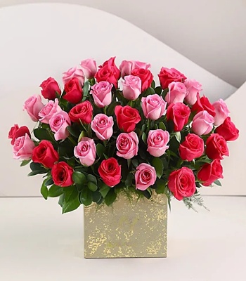 Pink Roses in Box - 20 + 20 Free