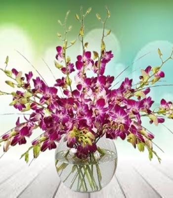 Purple Orchid in Fishbowl Vase - 6 Stems