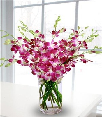 Purple Orchid in Glass Vase - 6 Stems