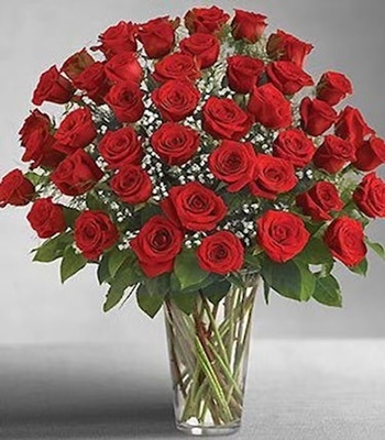 75 Red Roses in Vase