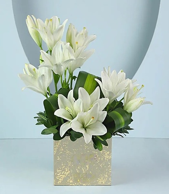 White Asiatic Lilies in Box