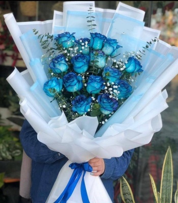 Blue Roses