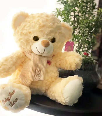 Bright Cream Teddy Bear
