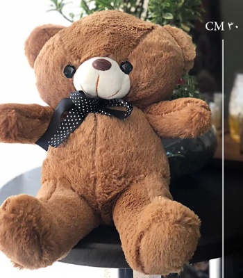 Brown Teddy Bear