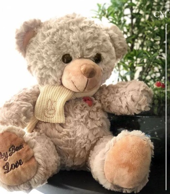 Nescafe Teddy Bear