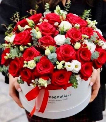 Red Dutch Roses And White Miniature Roses