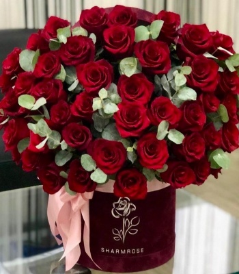 Red Rose And Eucalyptus In Box