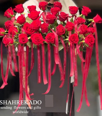 Royal Dutch Red Rose Collection