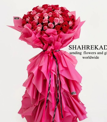 Valentine's Day Roses