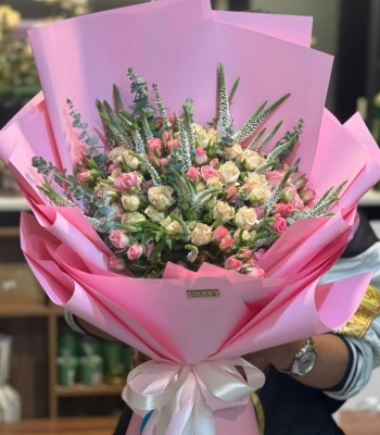White And Pink Roses