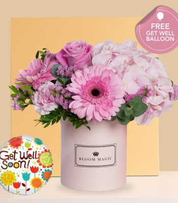 Pink Hydrangeas with Pink Flowers