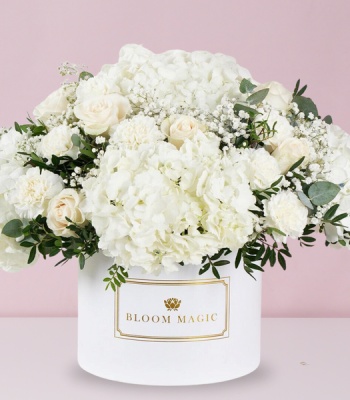 White Hydrangeas with White Flowers