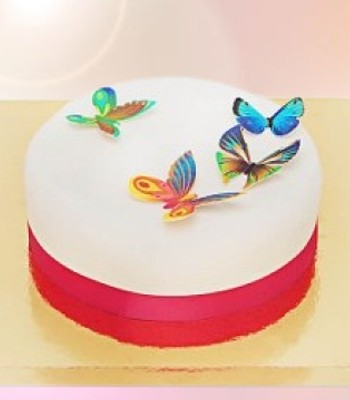 Beautiful Butterfly Cake - Chocolate Cake