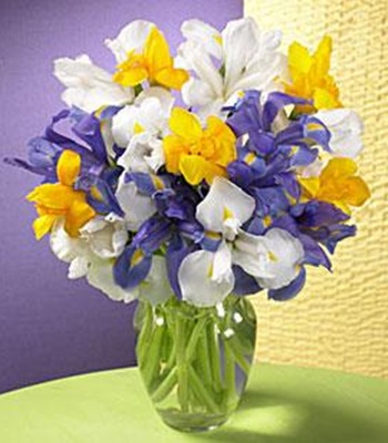 Iris Flower Bouquet