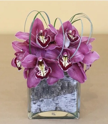 Mix Orchids in Glass Vase