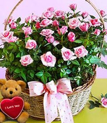 Rose Flower Basket - Free Teddy Bear