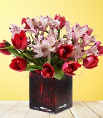 Tulips And Peruvian Lilies