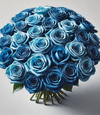 50 Blue Roses