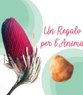 Banksia & Sunstone Keepsake - Unique Spiritual Gift for Energy and Resilience