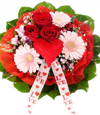 Christmas Flowers in Red & Pink