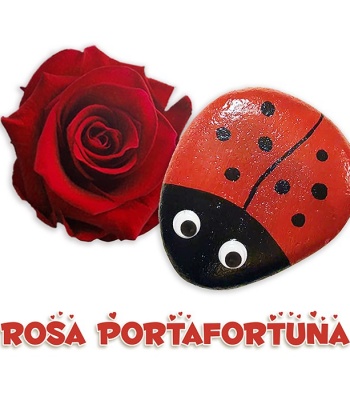 Love & Fortune Gift - XL Stabilized Red Rose & Hand-Painted Ladybug Stone