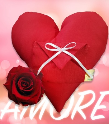 The Window in the Heart - Handmade Heart Gift with Hidden Message & Preserved Rose