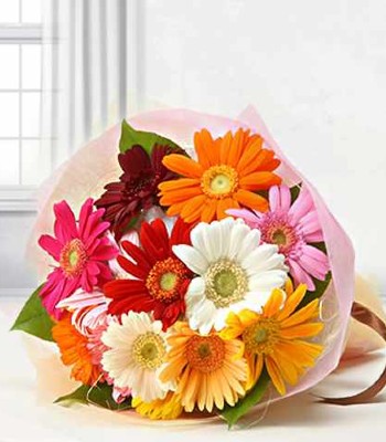 Vibrant Blooms - Colorful Gerbera Bouquet