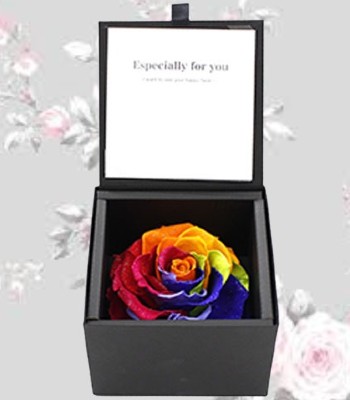 Diamond Rainbow Rose - Preserved Flower